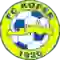 team logo