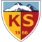 team logo