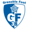 team logo