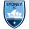 team logo