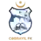 team logo