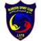team logo