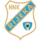 team logo