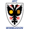 team logo