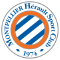 team logo