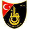 team logo