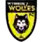 team logo