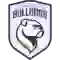 team logo