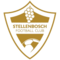 Стелленбош ФК