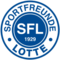 team logo