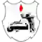 team logo