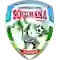 team logo