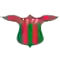 team logo