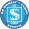 team logo