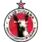 team logo