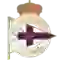 team logo