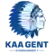 team logo