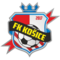 team logo
