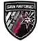 team logo