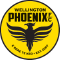 team logo