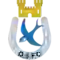 team logo