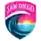 team logo