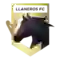 team logo