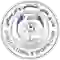 team logo