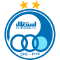 team logo