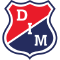 team logo