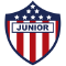 team logo