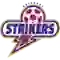 team logo