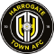 team logo