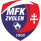 team logo