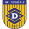team logo