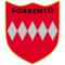 team logo