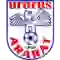 team logo