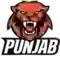 team logo