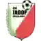team logo