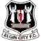 team logo