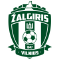 team logo