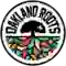 team logo