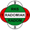 team logo
