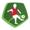 team logo