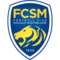 team logo