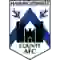 team logo