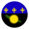 team logo