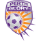 team logo