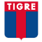 team logo