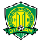team logo